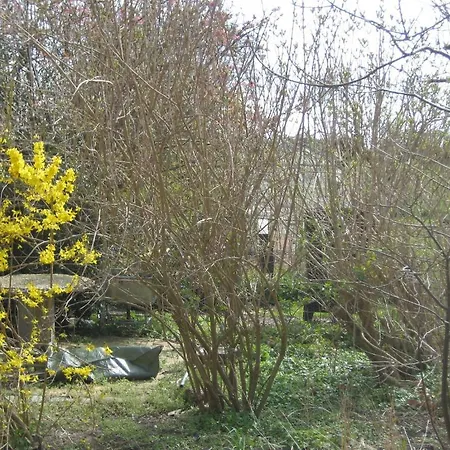 Séjour à la ferme Fuglsang *