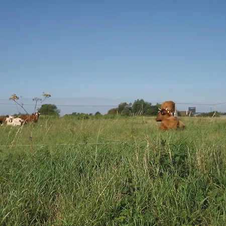 Fuglsang Séjour à la ferme *