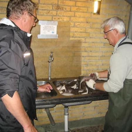 Fuglsang Séjour à la ferme